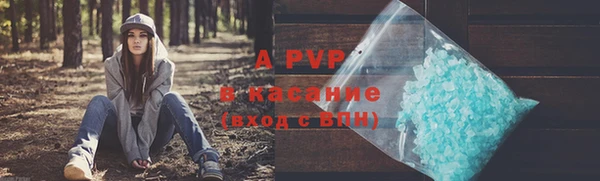 ECSTASY Инсар