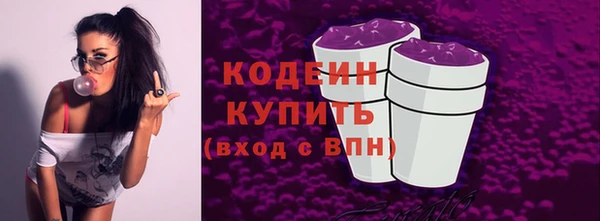 ECSTASY Инсар