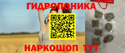 крисы Лесосибирск