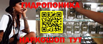 крисы Лесосибирск