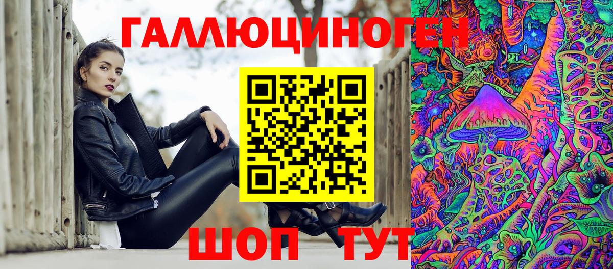 Жуковский  Псилоцибиновые грибы Cubensis  Вход с VPN 